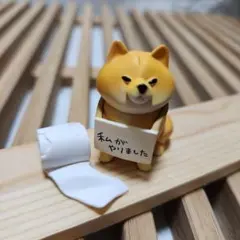しばくらし「反省の色が見えない柴犬」