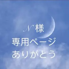 N様専用ページ　24b