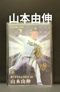 広島東洋カープ山本浩二サイン入りフォトフレーム限定ありがとう市民