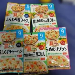 WAKODO 離乳食 4種類セット