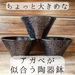 ちょっと大きめなアガベが似合う陶器鉢　植木鉢　塊根　多肉　観葉植物　3個セット