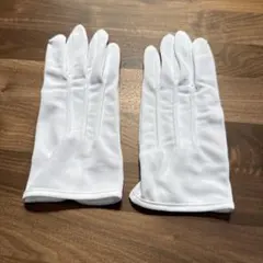 Item thumbnail for item 07d9a1f0-eb9b-4680-b139-f64942ef9559