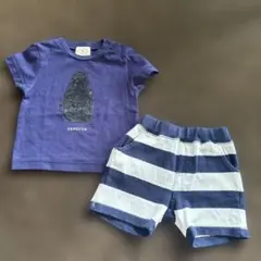 ★ green label relaxing 75 Tシャツ＆ボーダーパンツ★のサムネイル
