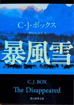 暴風雪