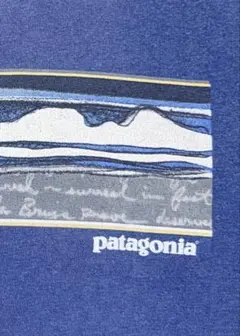 【レア】Patagonia Tシャツ　ブルー