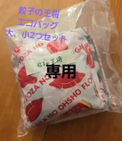 Item thumbnail for item d174205b-46ad-45ef-93fc-dd1890d97b6f