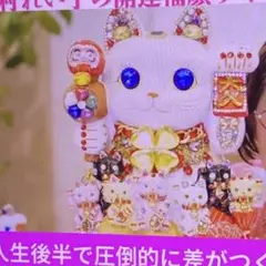 【新品】RIZAP ライザップ サマータイプレギンス L〜L L ハイウェスト