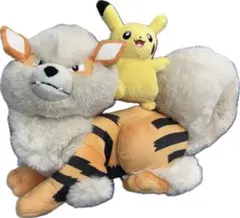ポケモンセンターオキナワ 沖縄限定でウィンディとピカチュウ 2体