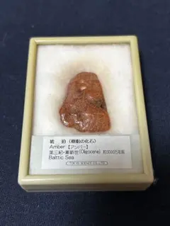 琥珀 アンバー 原石 天然石 ペンダントトップ