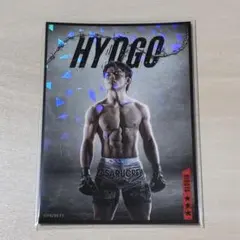 ヒロヤ RIZIN ライコレ リアルカード ホームタウン