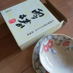 片岡鶴太郎美濃焼 椿柄