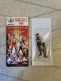 全日本プロレス50周年記念くじ - メルカリ