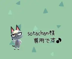 【sotachan様 専用】リクエスト 4点 まとめ商品