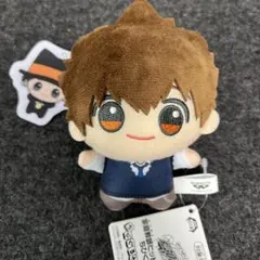 【最安値】家庭教師ヒットマンREBORN! ちびぐるみ　沢田　綱吉