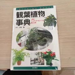 観葉植物事典