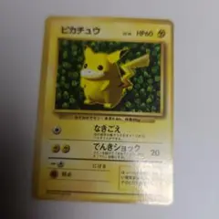 こたろう様専用