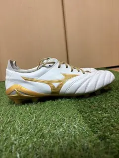 2026年最新】モレリアネオ4の人気アイテム - メルカリ