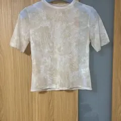 シアーTシャツ