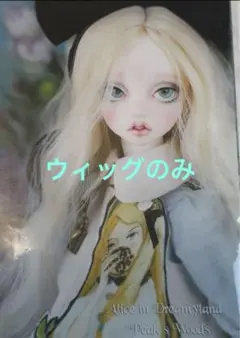 Item thumbnail for item 4c0e28ed-7985-44b6-b70c-4cf60830b3ac