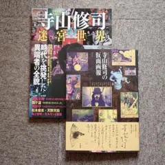 第21回 岡本太郎現代芸術賞展 図録」さいあくななちゃん受賞時 - メルカリ