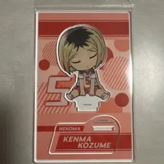 ハイキュー 孤爪研磨