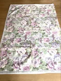 Item thumbnail for item 4e86eed8-4b09-4393-9aa9-b323713bf465