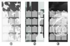 Item thumbnail for item 5f0a4450-3325-4db7-b873-90fa47de97ef