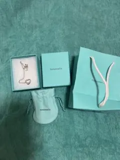 Tiffanyネックレスシルバー