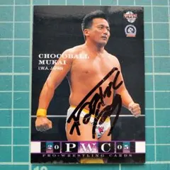 Item thumbnail for item f6f8201c-04db-4e8b-9211-b2a9c65a09ae