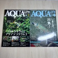 2025年最新】月刊アクアライフの人気アイテム - メルカリ