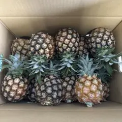 【注文後収穫】石垣島ピーチパイン11キロ（16玉）送料込み 注文後収穫】石垣島ピーチパイン11キロ（16玉）送料込み - メルカリ