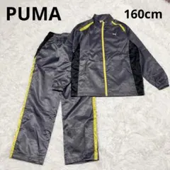 Item thumbnail for item 2dacf1d7-d293-4816-8569-c56e619221ff