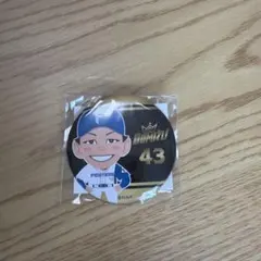 北海道日本ハムファイターズ 缶バッジ 4種セット吉田野村矢澤水野