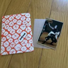 Item thumbnail for item c095b58e-f8dd-492e-ac88-9b5906580a2c