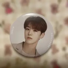 SEVENTEEN☆odetoyou 缶バッジ ホシ