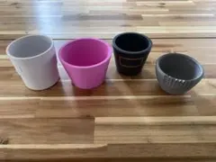 2026年最新】botanize 鉢の人気アイテム - メルカリ