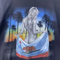 Alstyle 水着 女性 Tシャツ セクシーT エロT 90s 古着