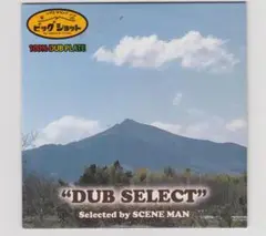 【超最終値下げ】Dub Select/Selected by Scene man
