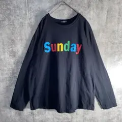 ロンT ビッグサイズ 4L カラフルロゴ プリント　ストリート　ユニセックス