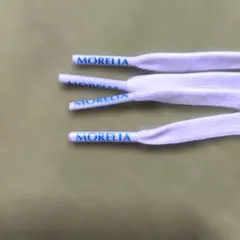 Item thumbnail for item b18e8156-daaf-4e7e-a6e6-8a288bbd3094