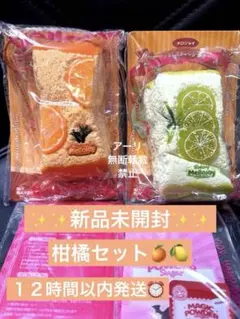 未展示品レア】祝ケータイかいツーたまごっちプラス春の2コたまセット