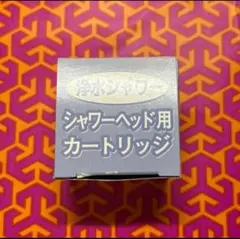 新品未使用品 素粒水ビーズ大 1個