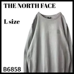 ザノースフェイス ワンポイント クールネック スウェット グレー メンズ L