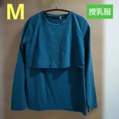 Item thumbnail for item 8e6640d7-14c7-4ca5-b67d-ca4234896fae