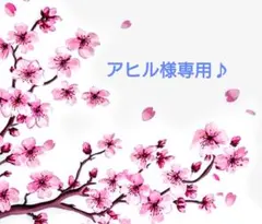 アヒル様専用♪