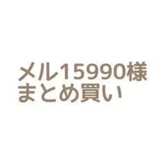 メル15990様 リクエスト 2点 まとめ商品