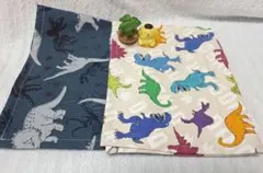 40×50☆2枚セット☆恐竜柄ランチョンマット