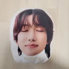 本多大夢 抱枕 最終降價