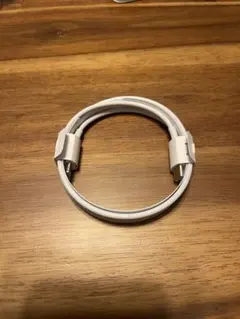 Apple 純正 USB-C - Lightning ケーブル