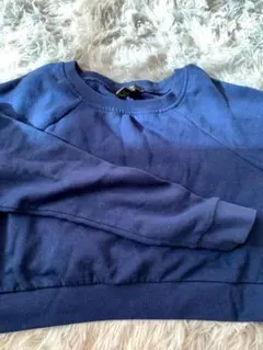 裏起毛 ショート丈トレーナー